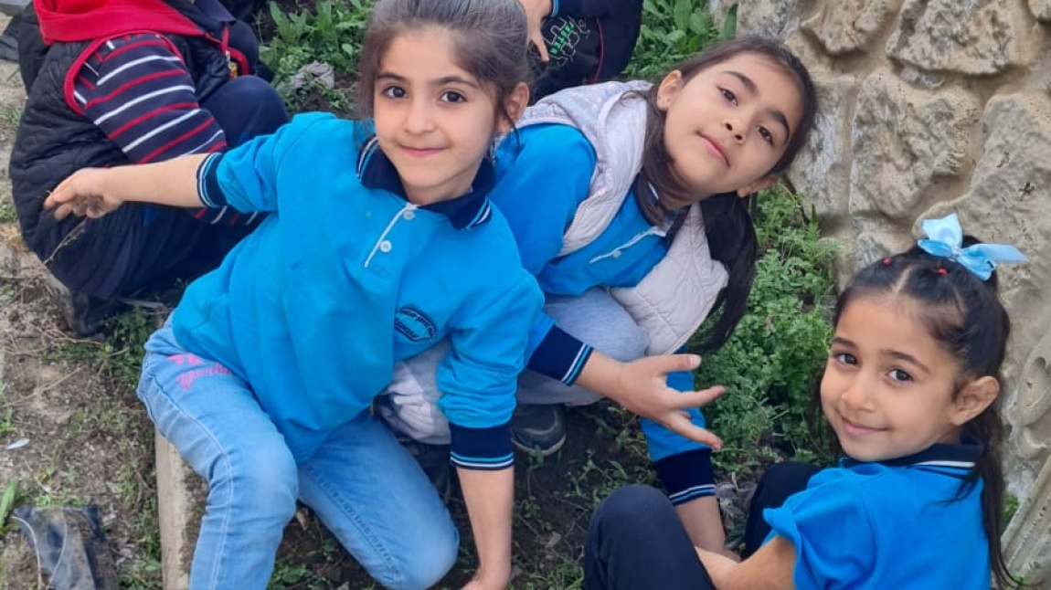 150  ADET FİDANI OKULUMUZ BAHÇESİ İLE BULUŞTURDUK